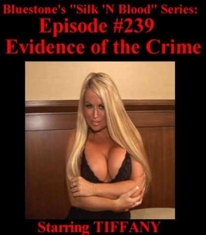 SNB-#239 – Evidence of the Crime