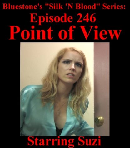 SNB-#246 – Point of View