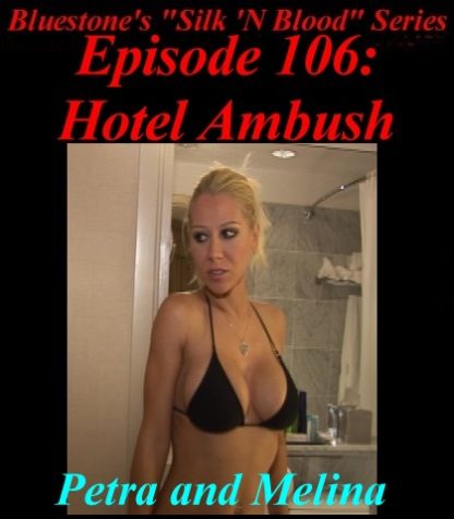 SNB-#106 – Hotel Ambush