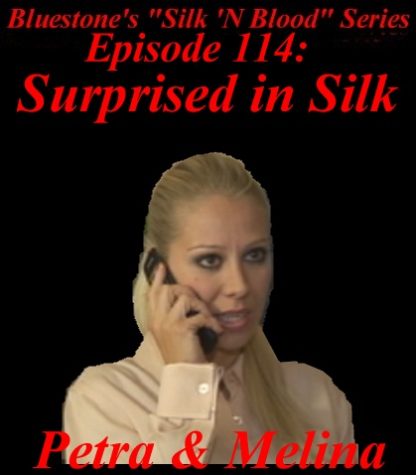 SNB-#114 – Surprised In Silk