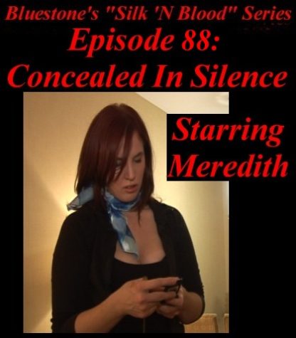 SNB-#88 – Concealed In Silence